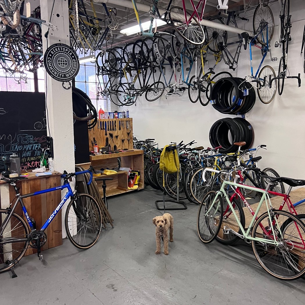 LGBTQ + Women Bike Mechanics Panel