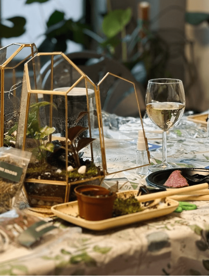 Sip & Plant Experience 1
