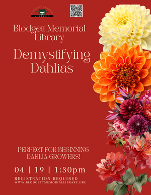 Demystifying Dahlias 1