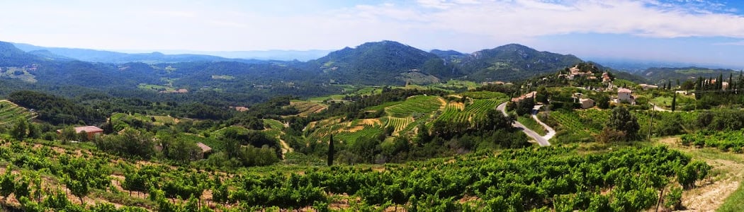 Domaine Saint Martin Farm 2