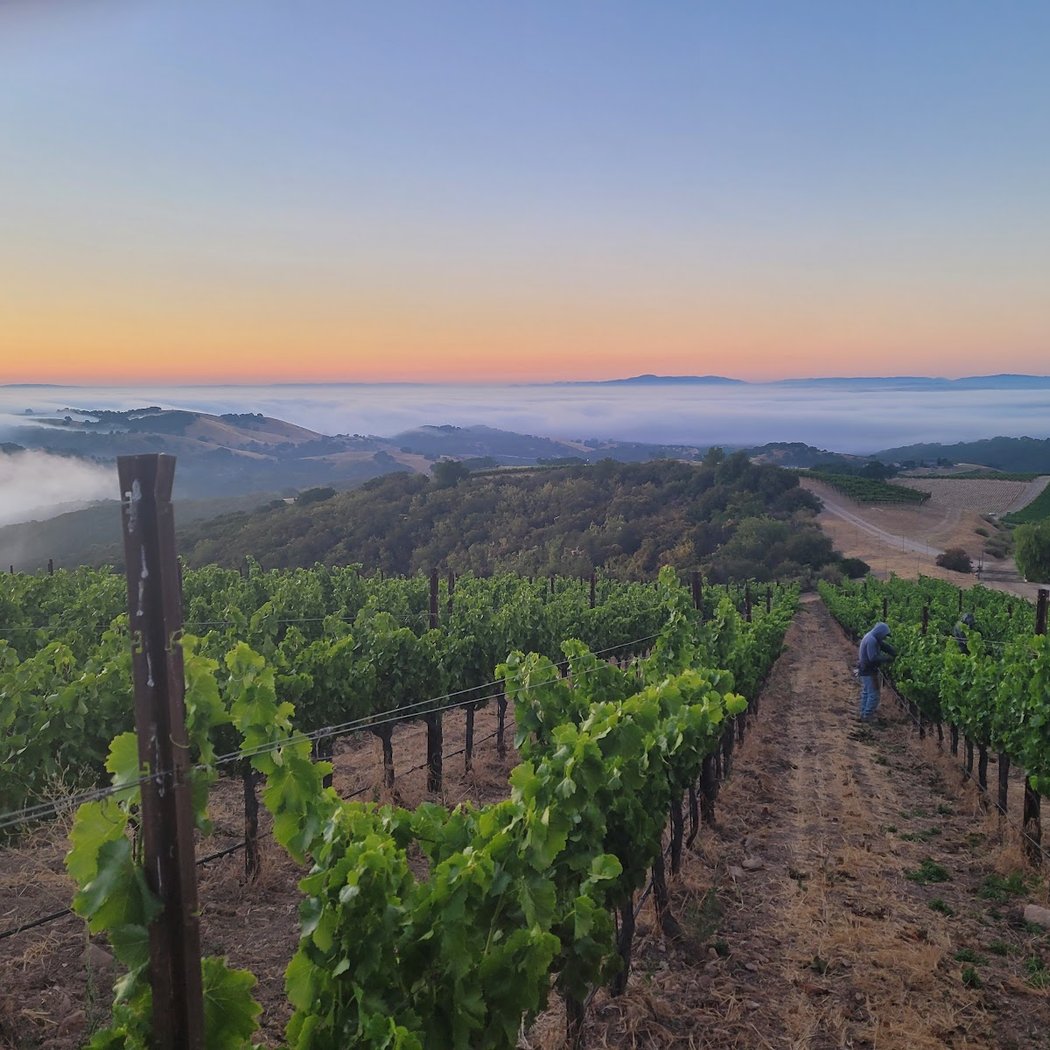 Paso Robles 4