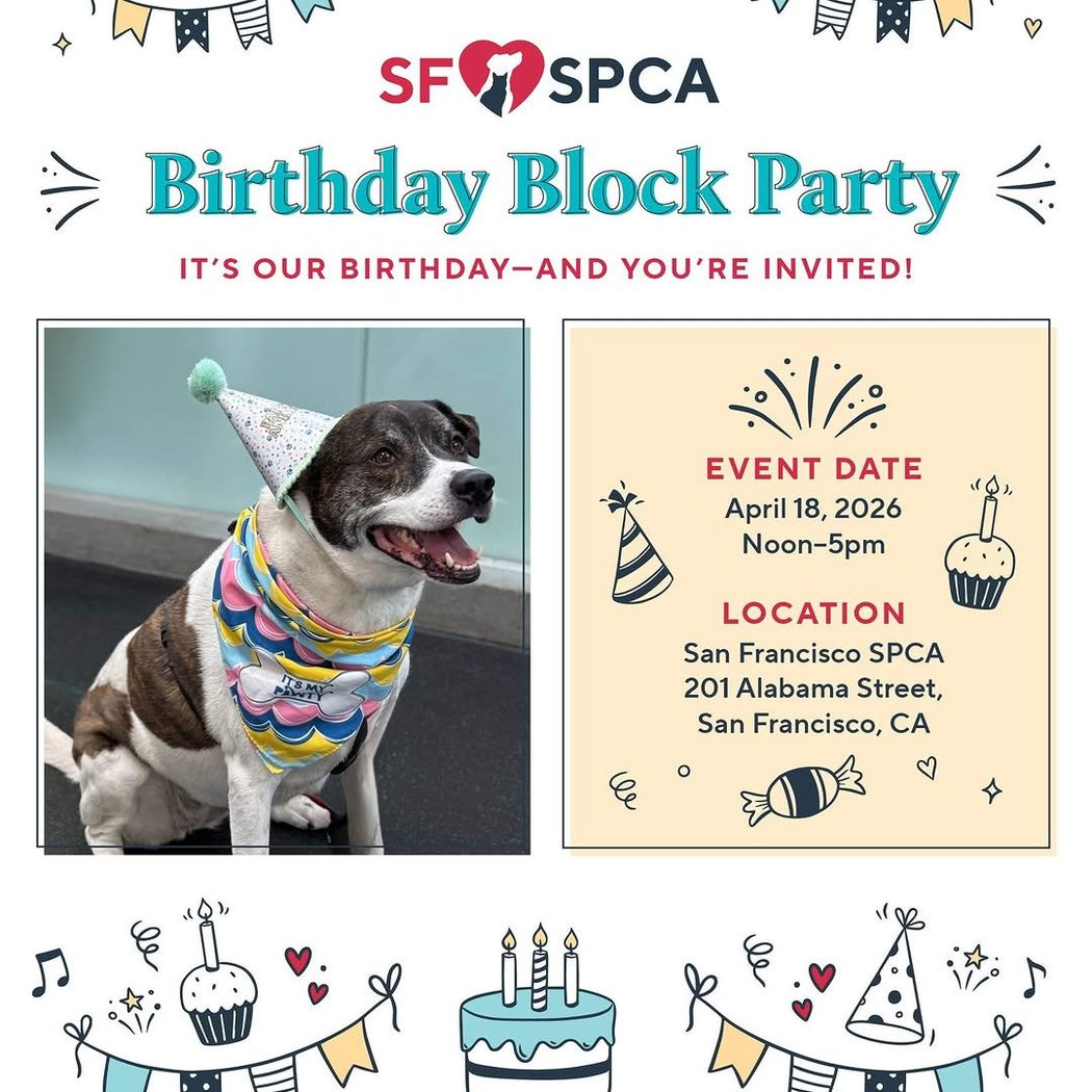 SF SPCA Birthday Block Party 1