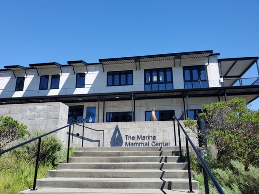 Marine Science Sunday Interactive Programs 3