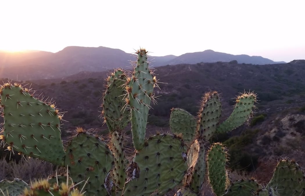 Trail Stewardship – Old Emerald 1