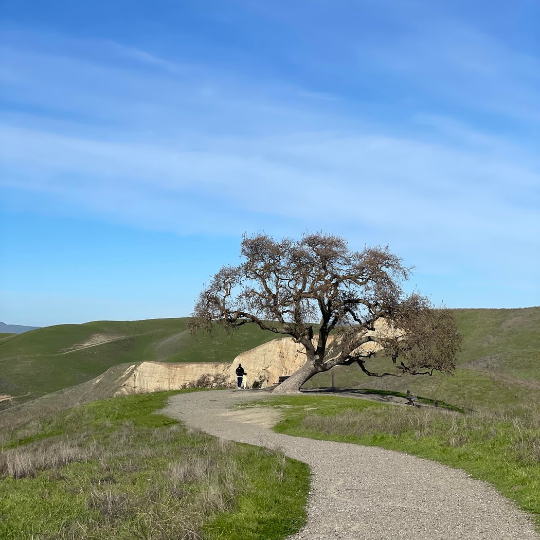 Del Valle Arroyo Road Staging Area (EBRPD) 2
