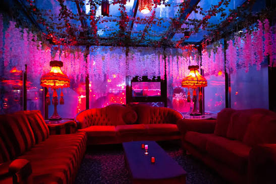 Madame X 3