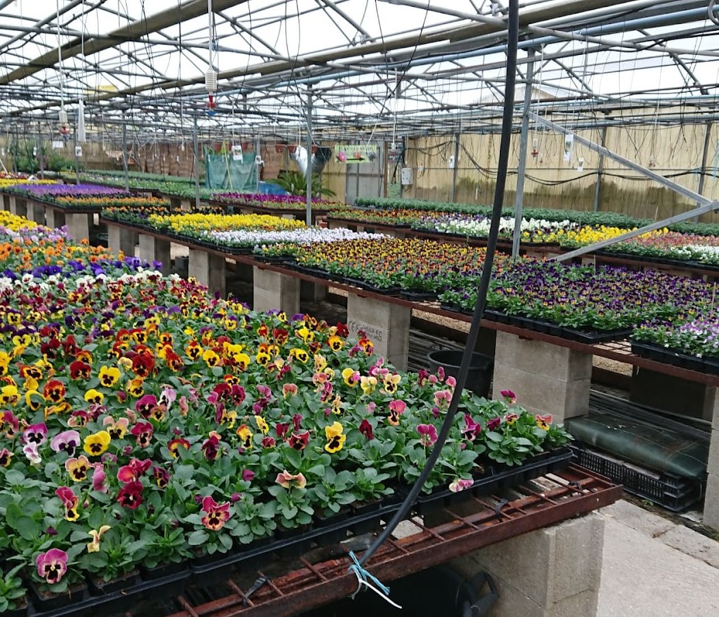 Atelier nature avec Mendi, le jardin de tous 5