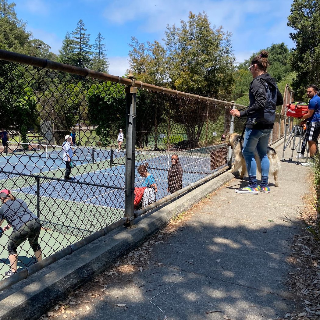 Pickleball Courts | Montclair Park 3
