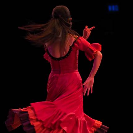 Espectáculo de flamenco 3