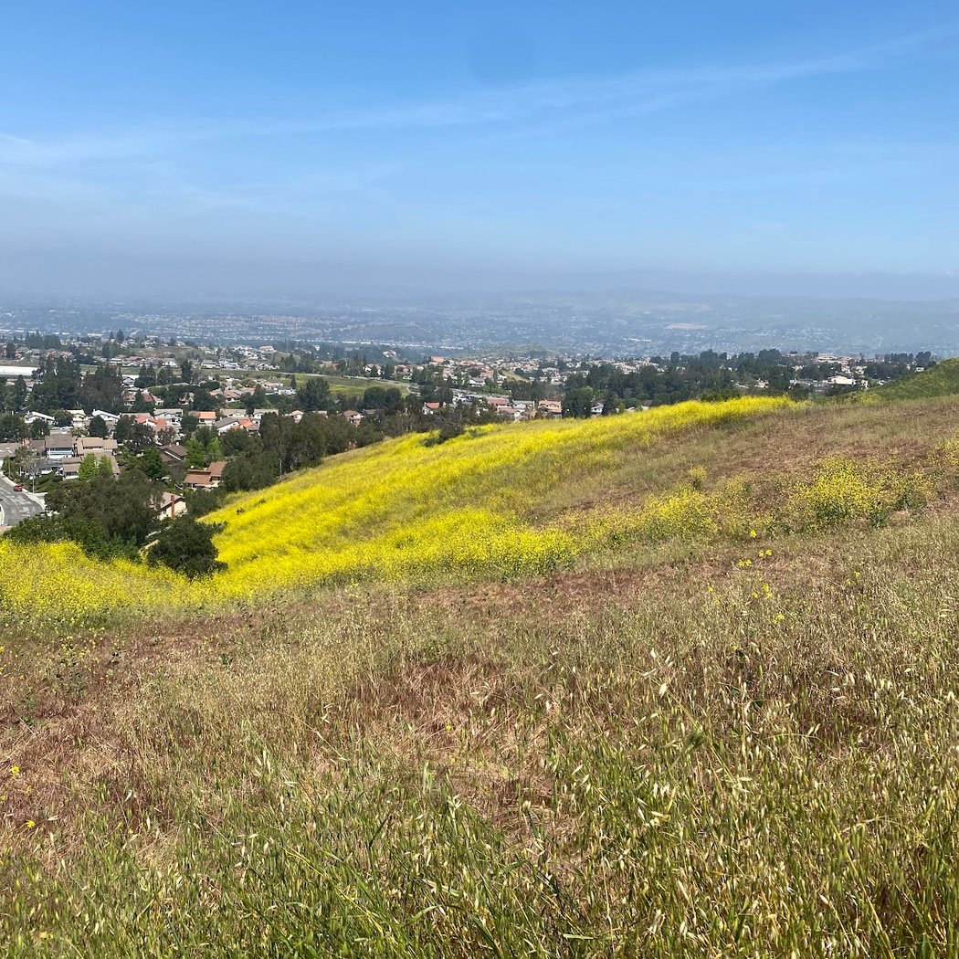 Moderate Cardio Hike: Weir Canyon Loop 2