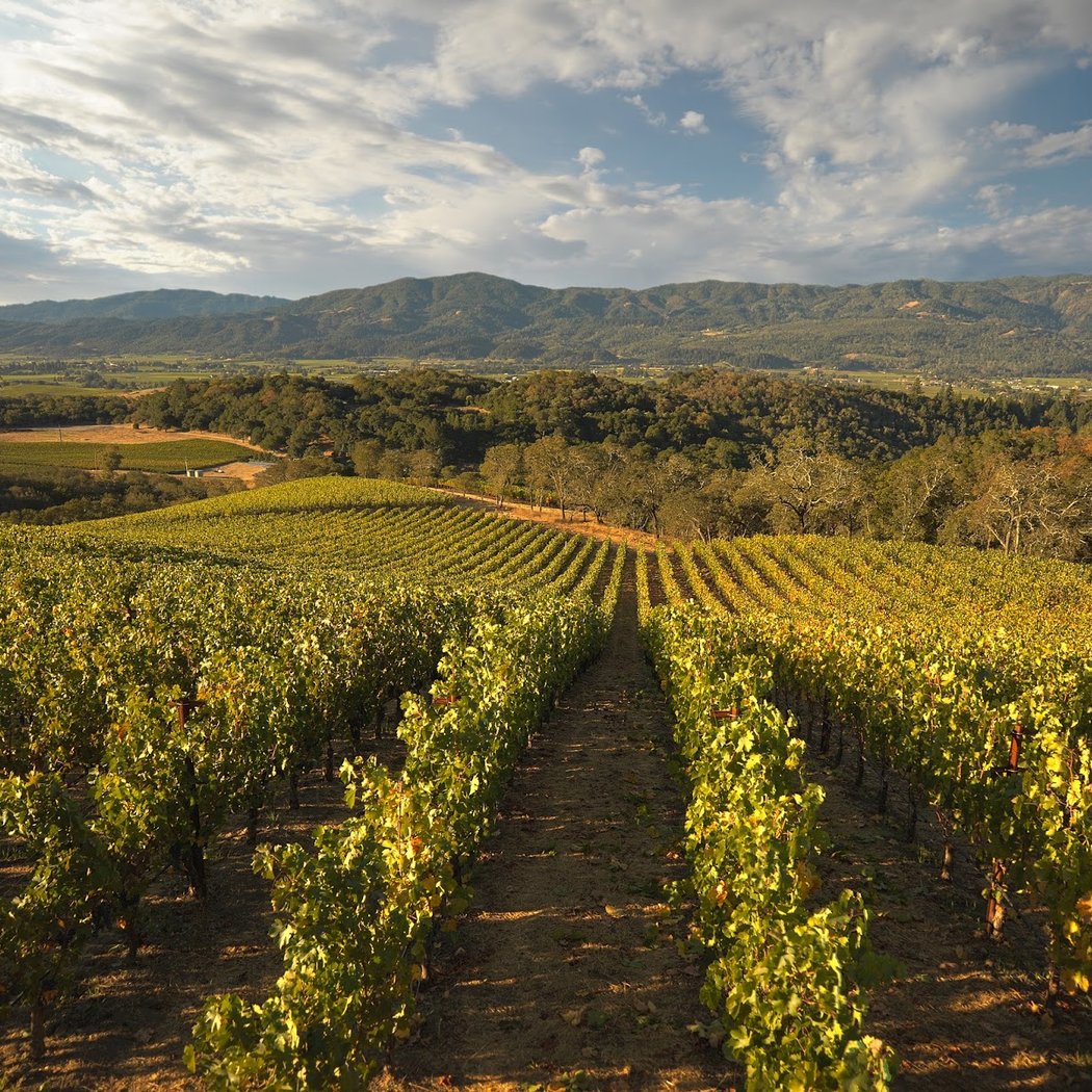 BLIND TASTING & TOUR JOIN IN EXPERIENCE 2