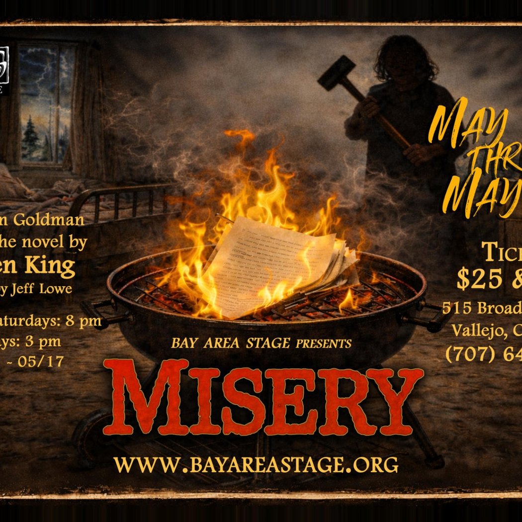 Bay Area Stage Theatre 1