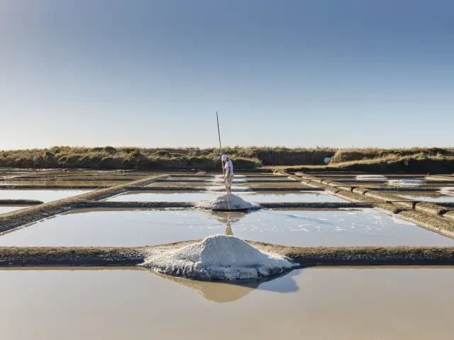 Salines de Guérande 1