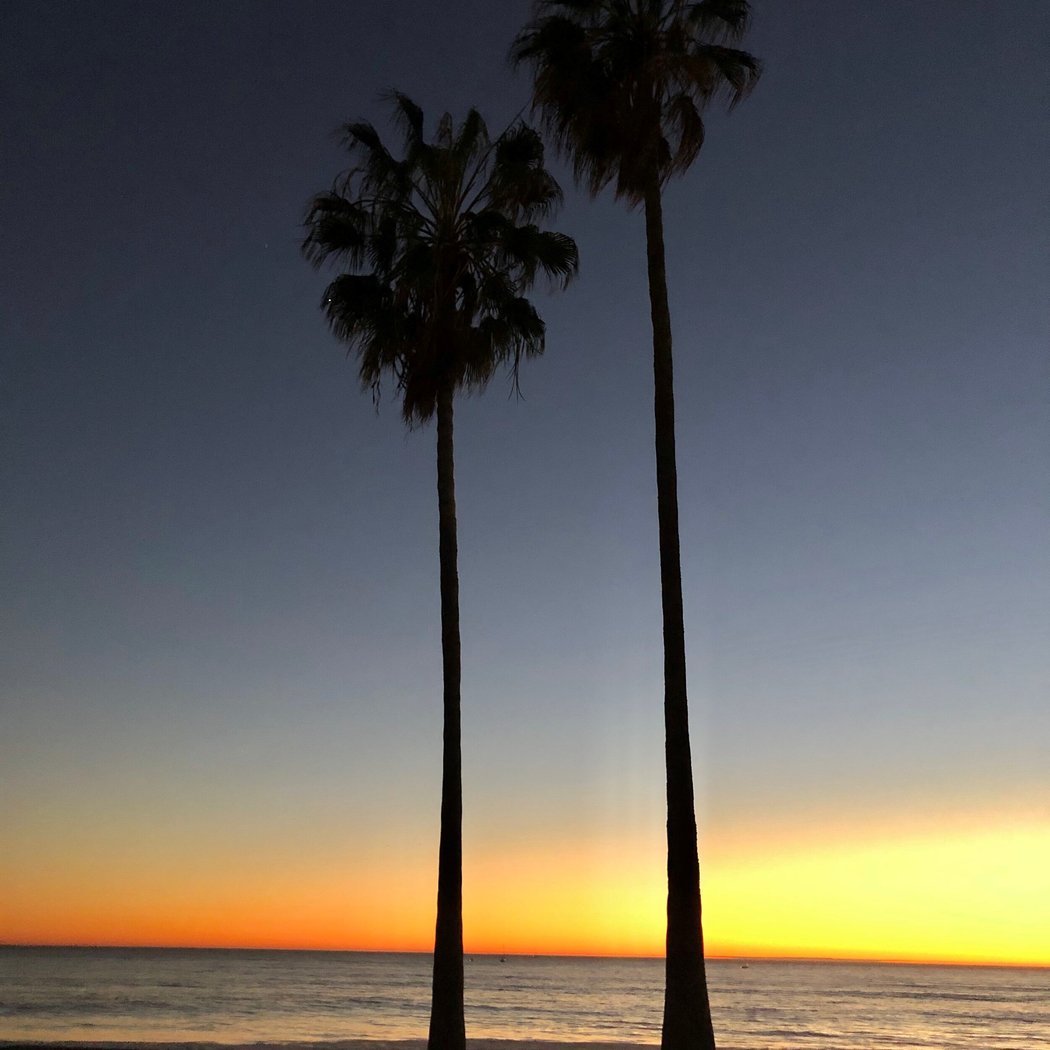 Doheny State Beach 3