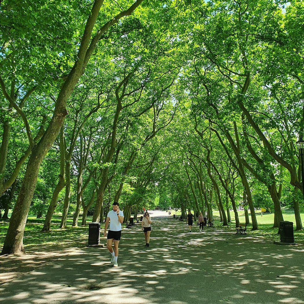 Crystal Palace Park 3