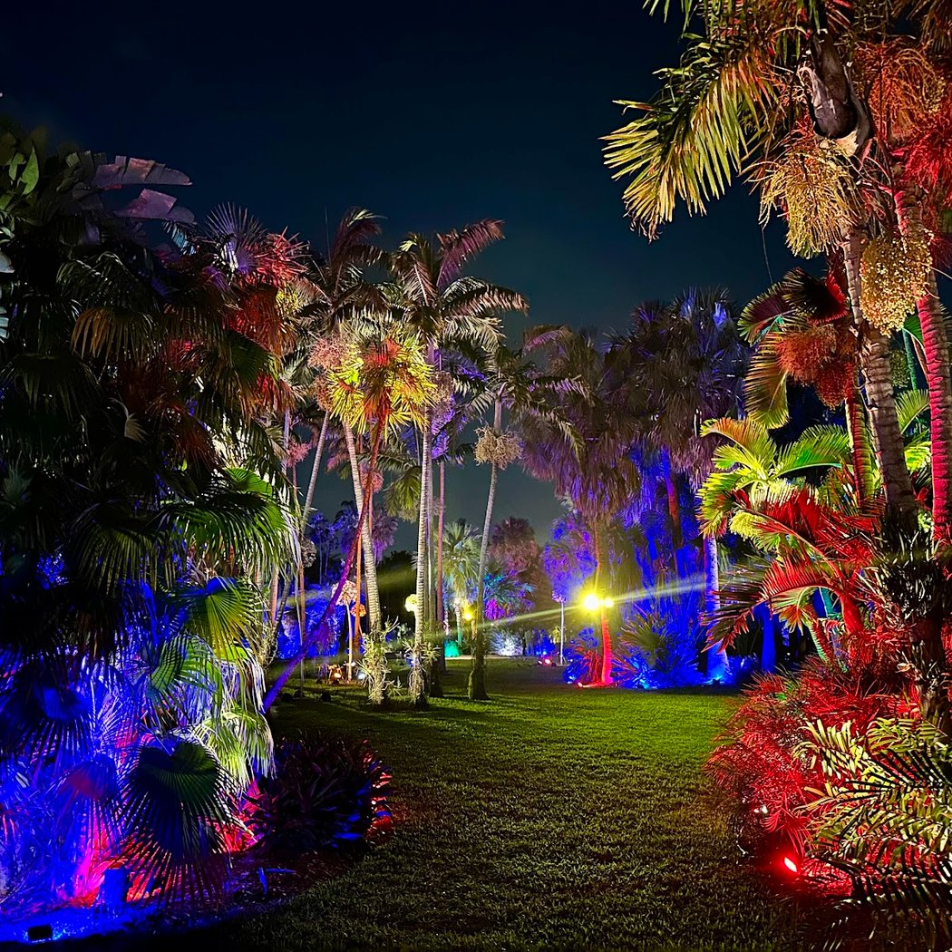 NightGarden 3