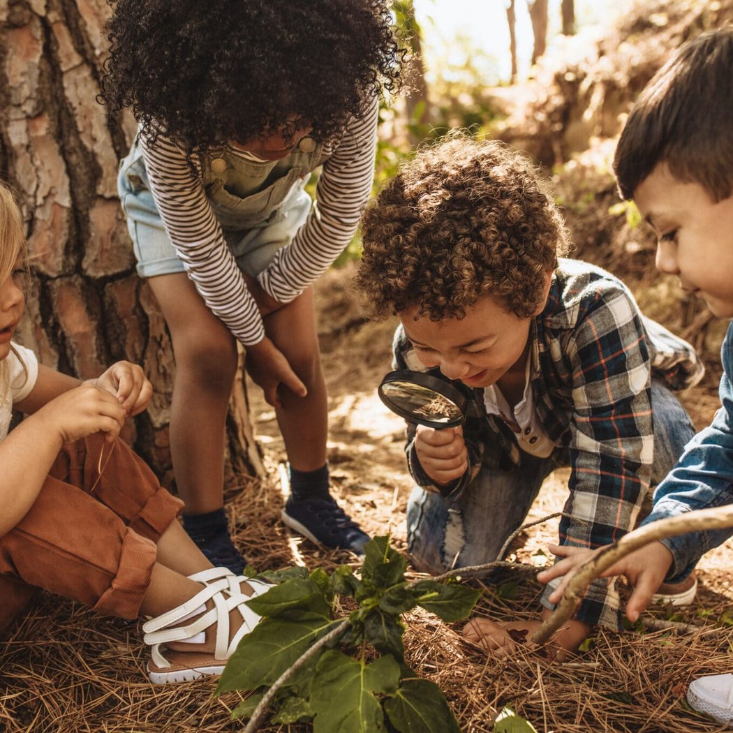 Learning for Littles