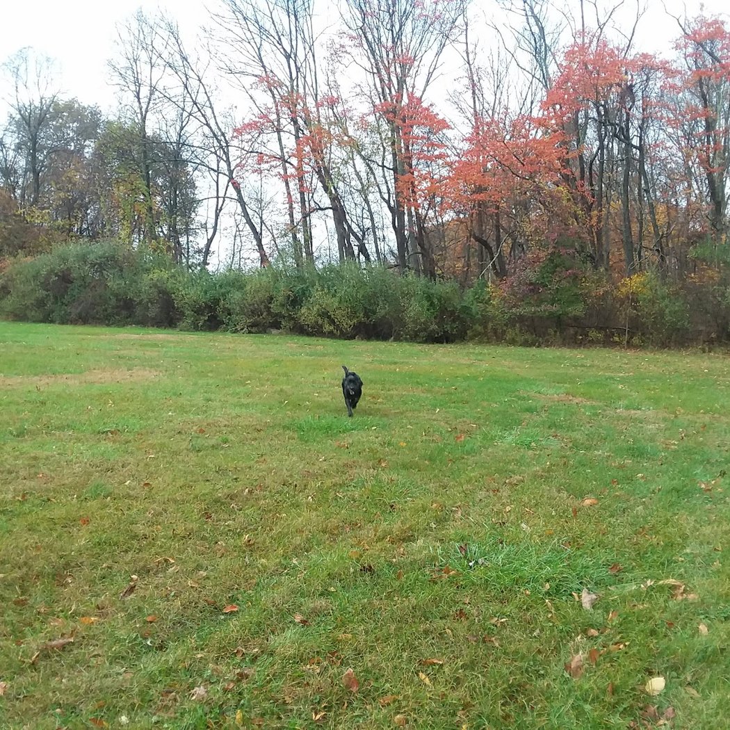 Teetertown Ravine Nature Preserve 2