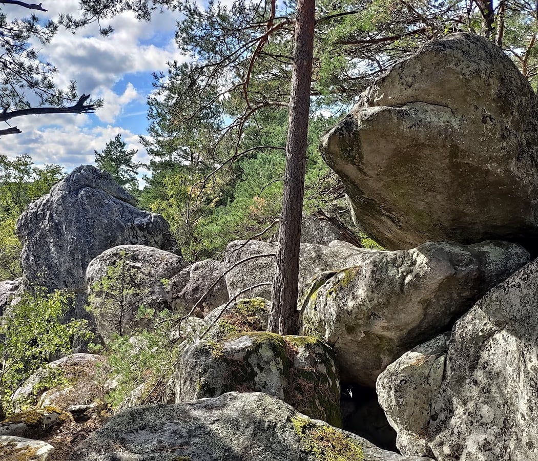 Camping La Musardière 1
