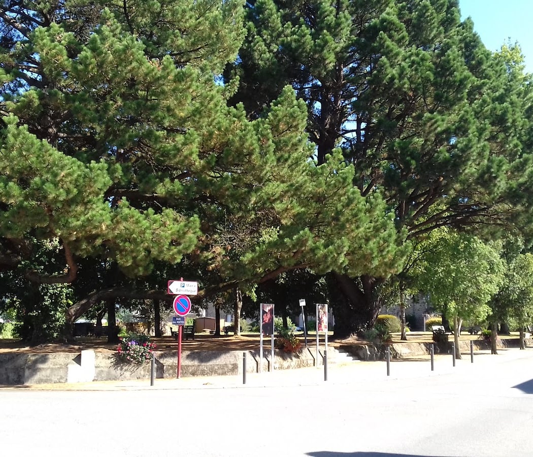 Espace Culturel de la Garenne 2