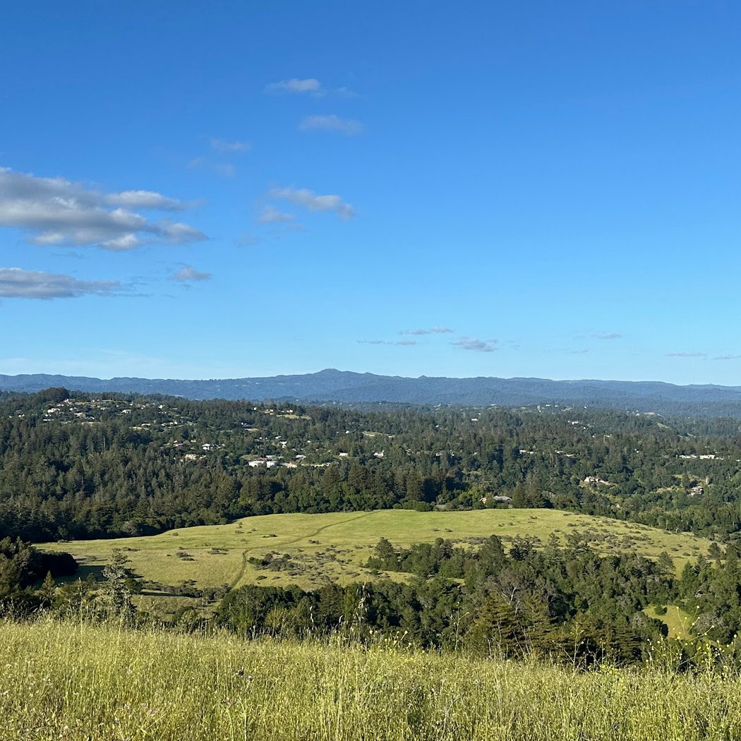 Pogonip Open Space 2
