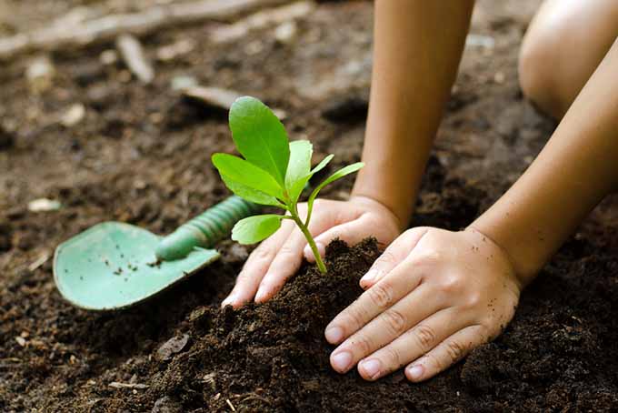 Helping Hands Gardening 3