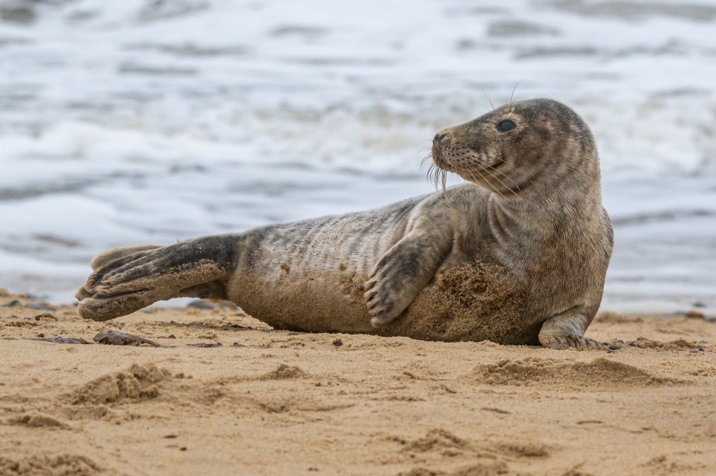 Jones Beach State Park 3