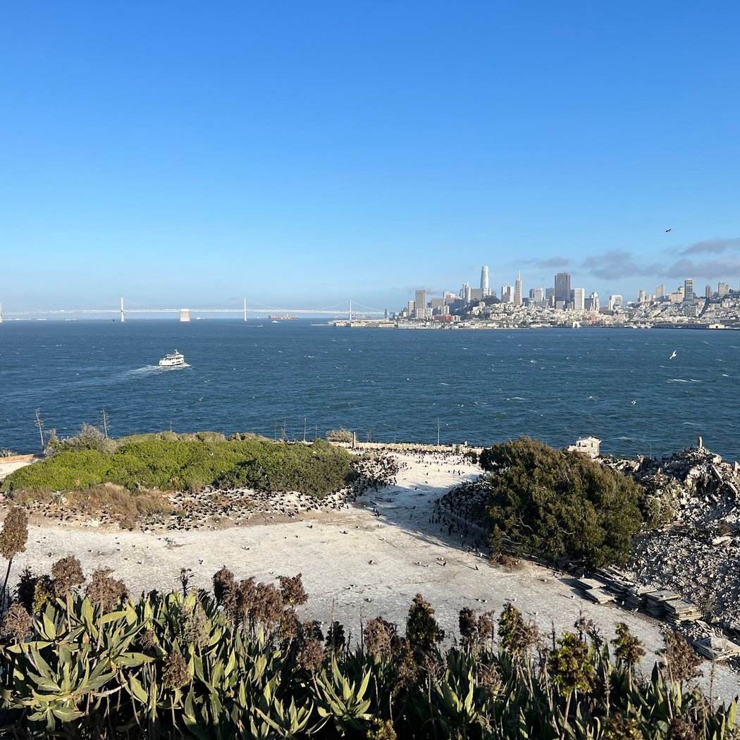 Inside Alcatraz: The Bay Your Way 3