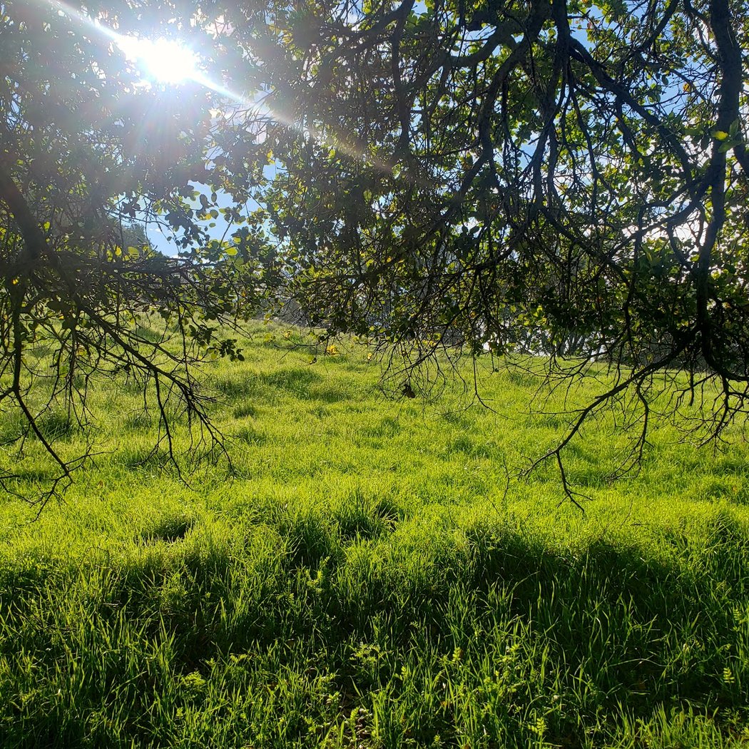 River-to-Ridge Trailhead 1