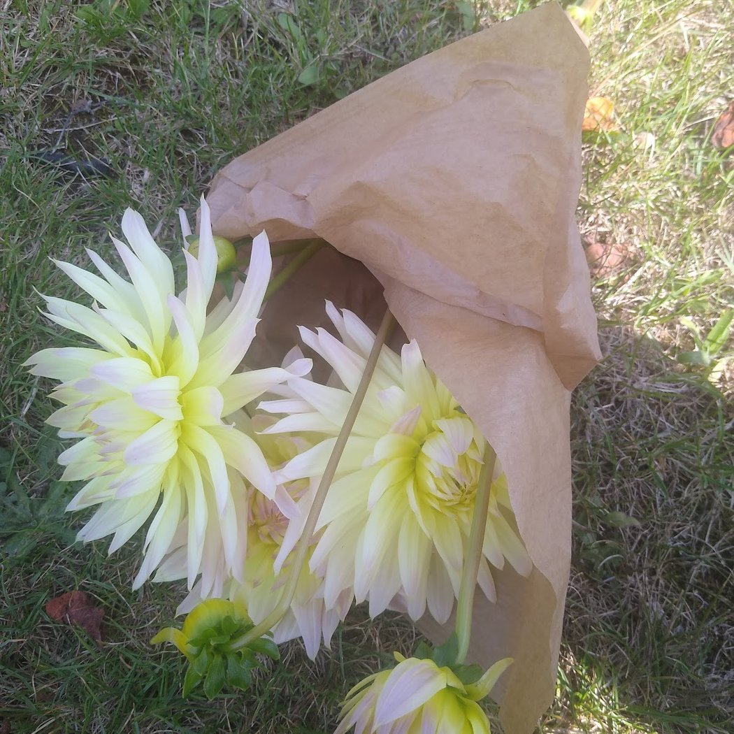 Plein Air • Floriculture 2