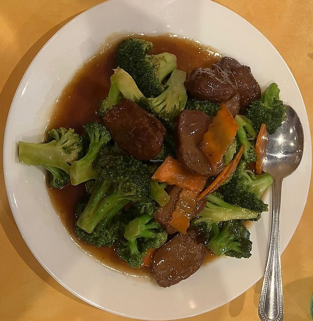 Enjoy Vegetarian 2