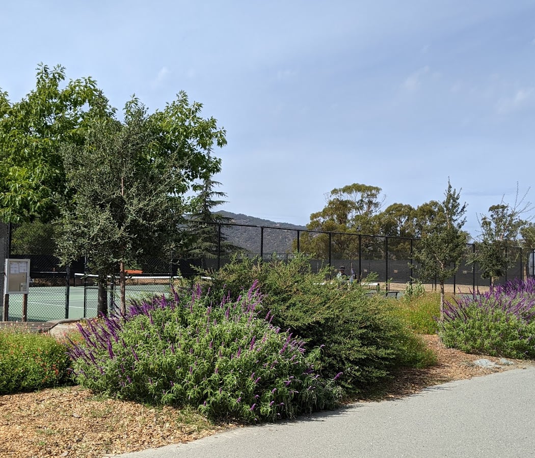Tennis & Pickleball Courts San Rafael 2