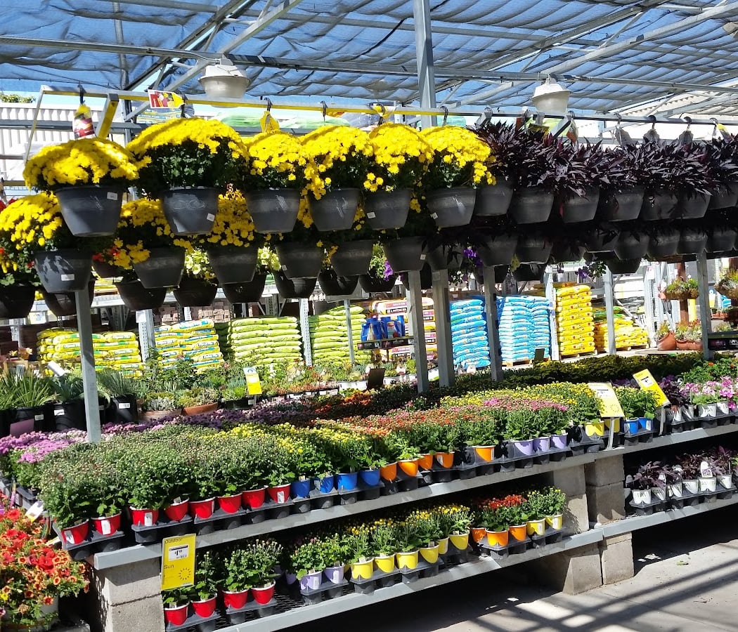 The Home Depot Livermore 1
