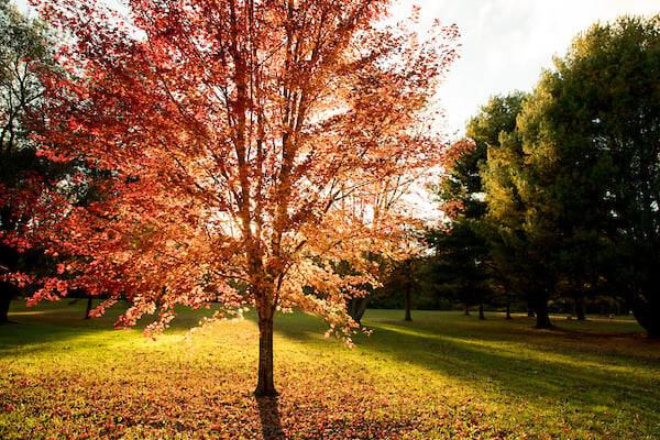 Autumn Discovery Hike 3