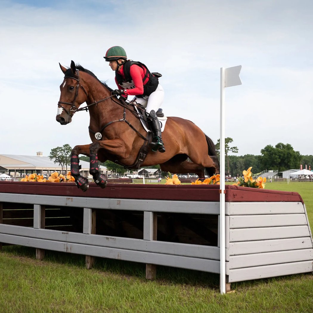 Ocala Fall Horse Trials 1