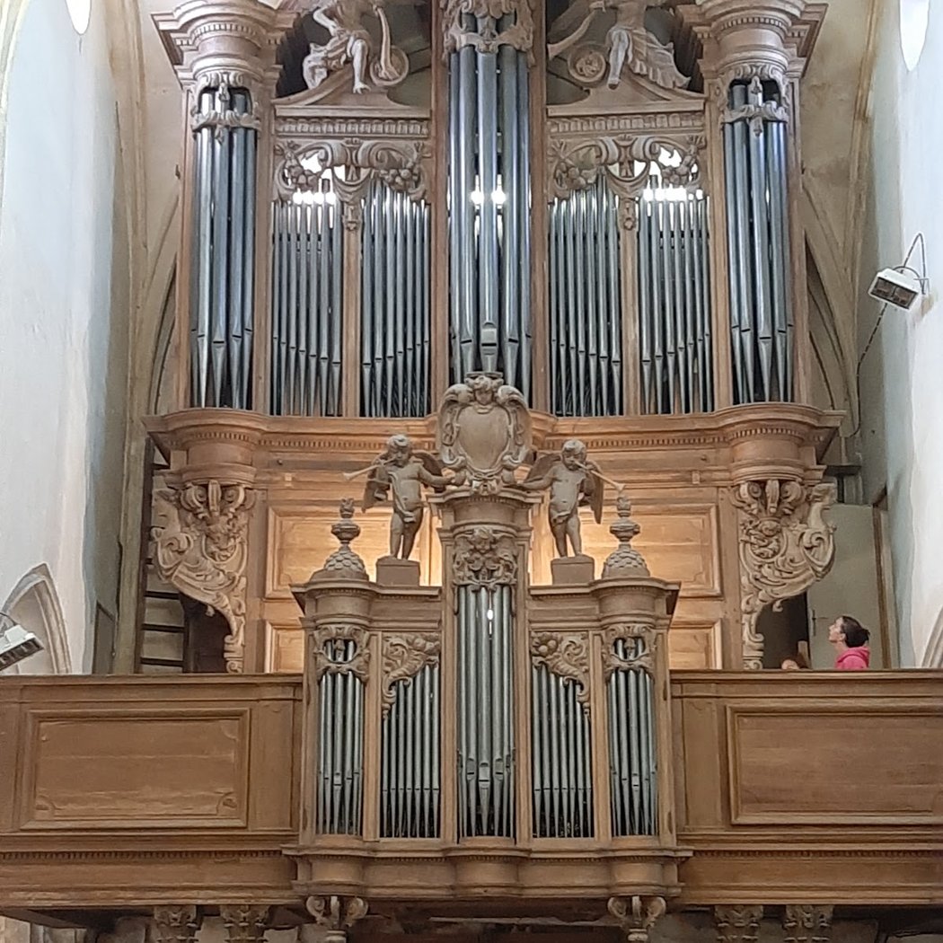 Visite guidée de l’église Saint-Martin et de son orgue 1