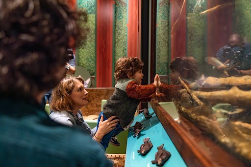 OMCA Kids: Nature Playspace 2