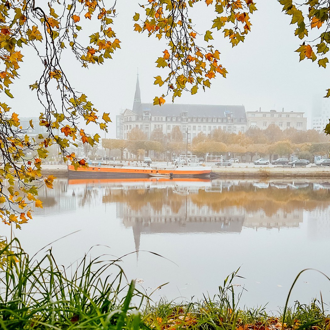 Île de Versailles 2