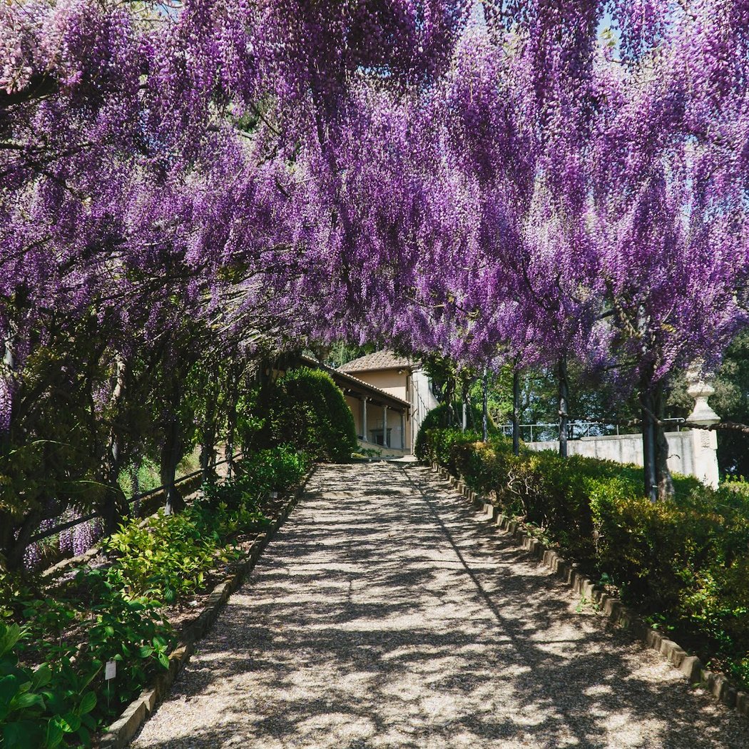 Villa Bardini 1