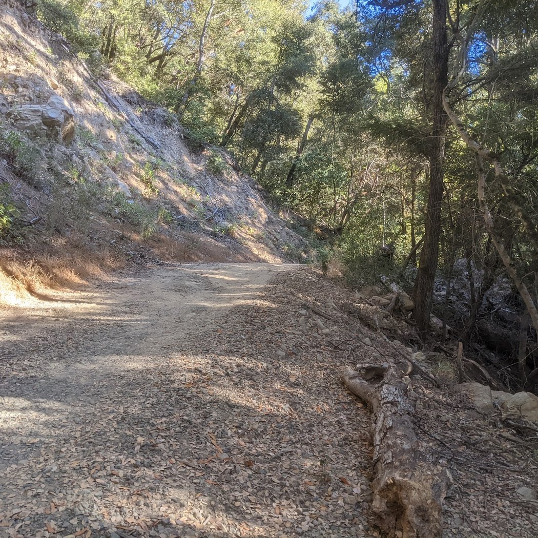 John Nicholas Trail 3