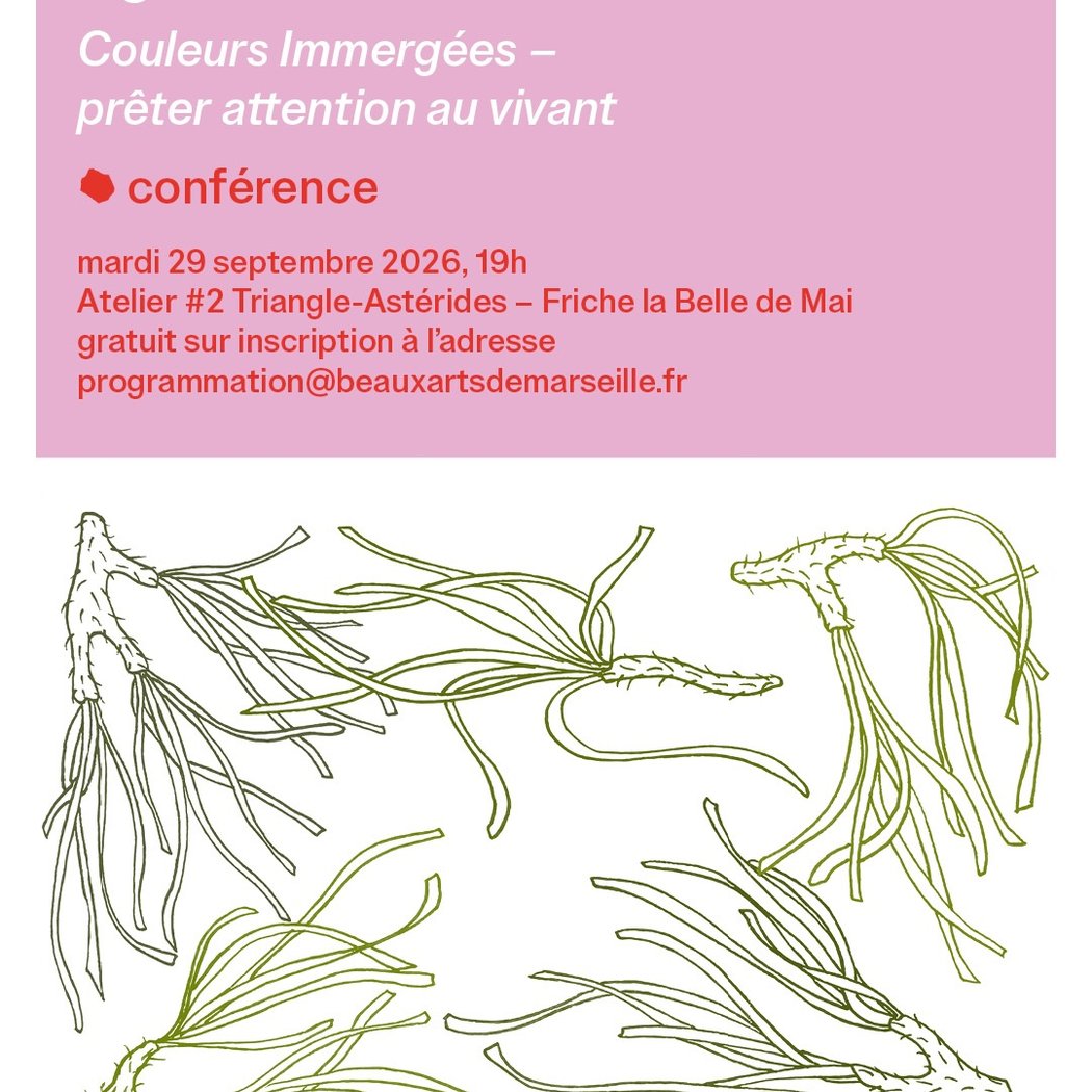 Couleurs Immergées – prêter attention au vivant