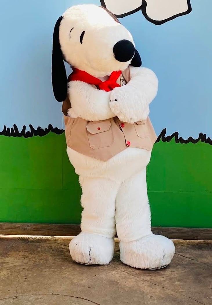 Camp Snoopy 3