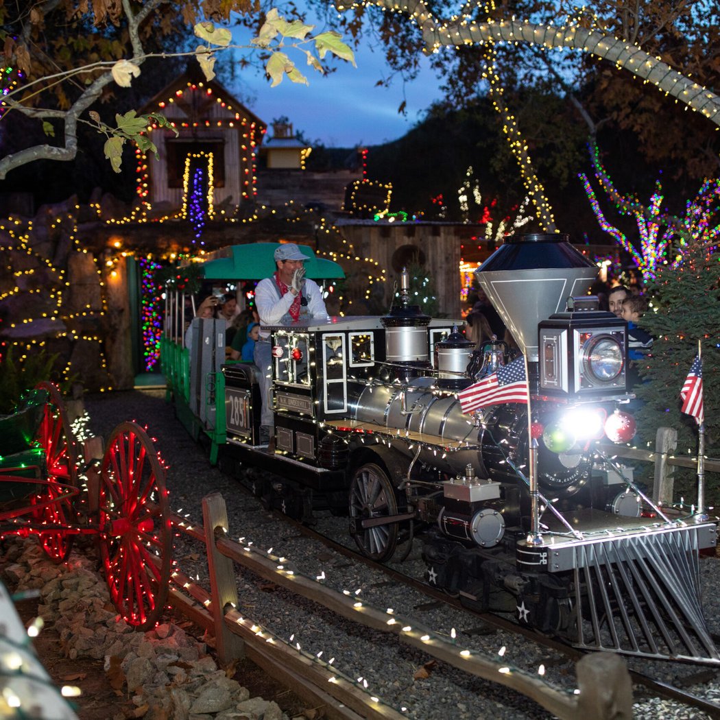 Christmas Train