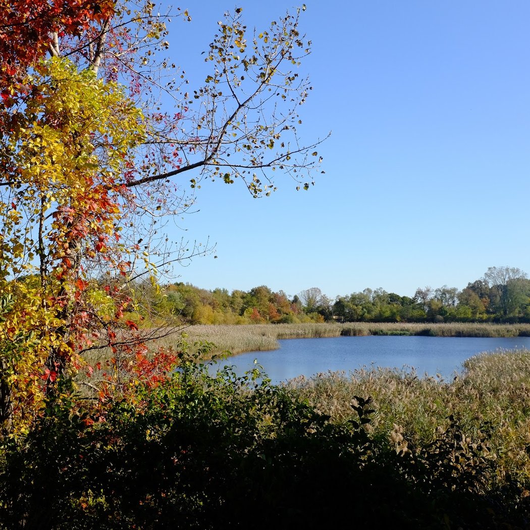 Ridgewood Reservoir 3