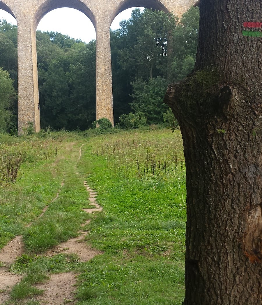 Trail du Viaduc des Fauvettes 2