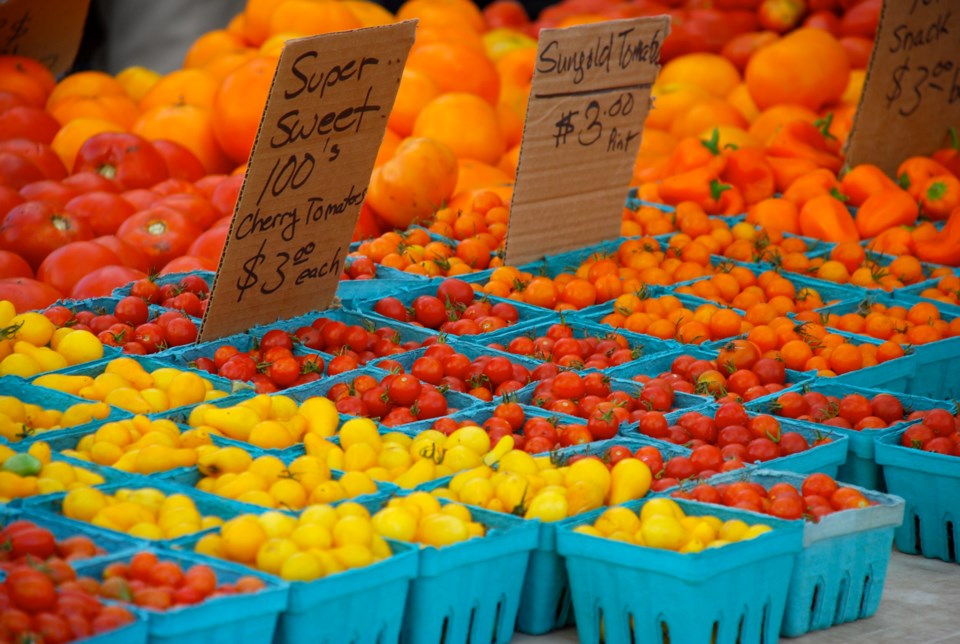 Brooklyn Borough Hall Greenmarket 3