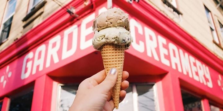Pet Ice Cream Social 2
