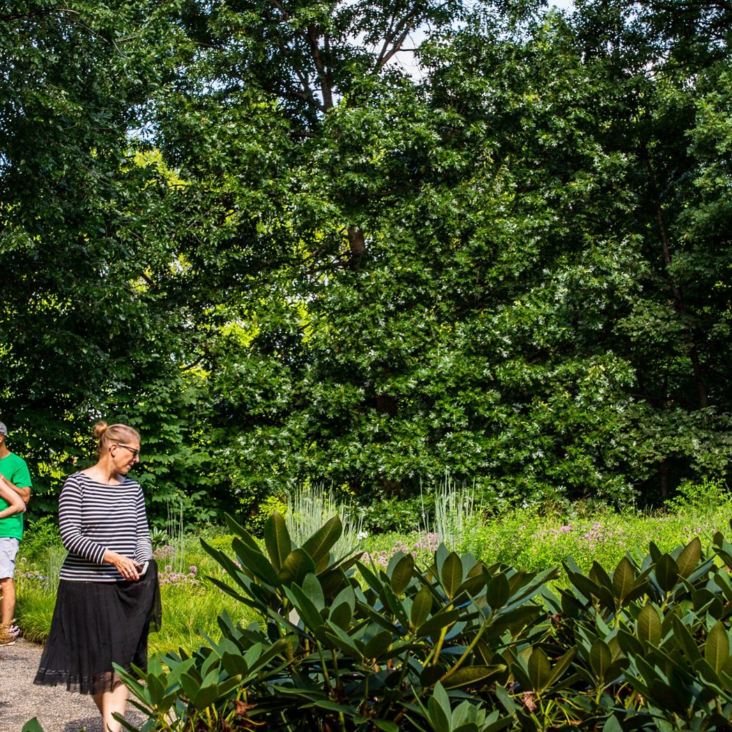 Azalea Garden 2