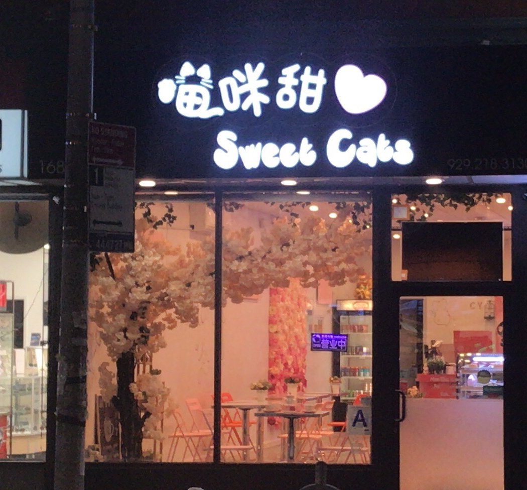 Sweet Cats Cafe 2