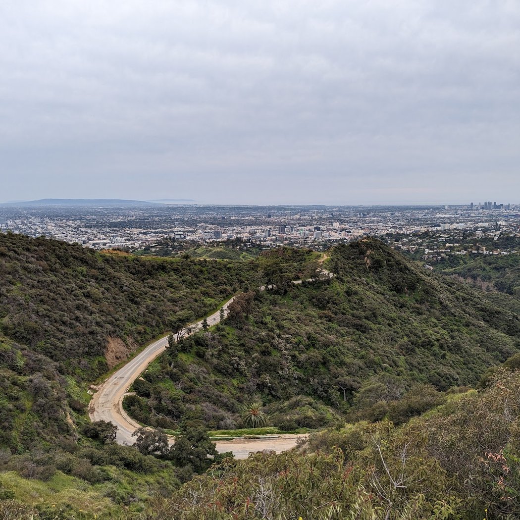 Mount Hollywood Trail 3